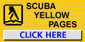 [Scuba YP]